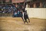 Palio Straordinario: la fotogallery delle Prove di Addestramento Mattutine